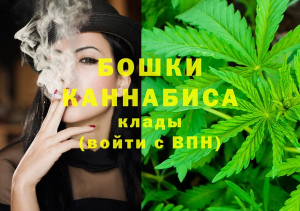 дмт Богородск