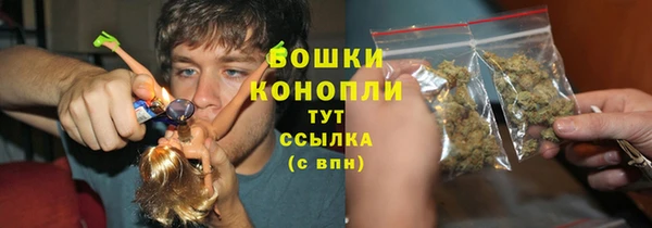 амф Дмитриев