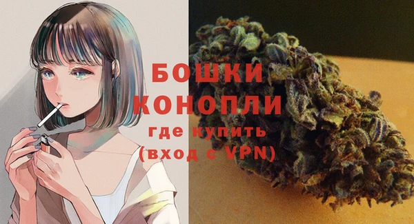 дмт Богородск