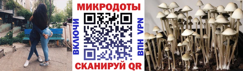 Псилоцибиновые грибы MAGIC MUSHROOMS нарко площадка телеграм Михайловка
